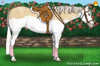 Horse Color:Silver Classic Champagne Dun Splash 