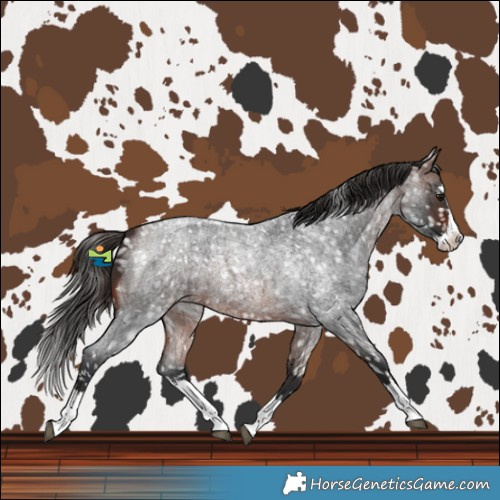 Horse Color:Brown Roan Splash Snowflake Varnish 