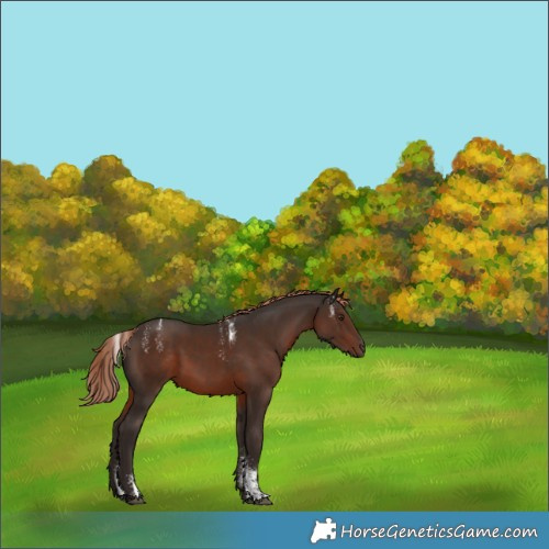 Horse Color:Powder White Liver Chestnut