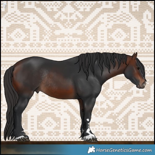 Horse Color:Brown Rabicano