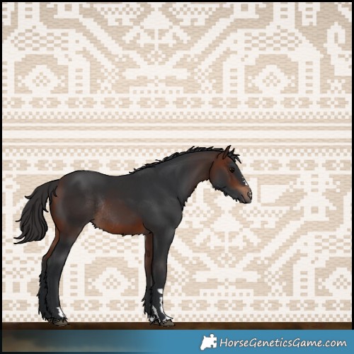 Horse Color:Brown Rabicano 