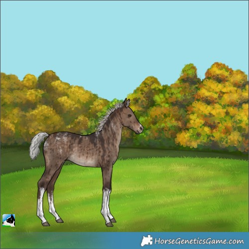 Horse Color:Powder White White Spotted Silver Brown Dun Rabicano Brindle 