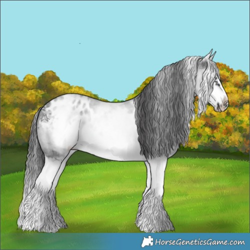 Horse Color:White Spotted Blue Roan Splash Frame Appaloosa 