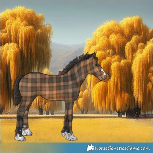 Horse Color:Plaid Brown Appaloosa