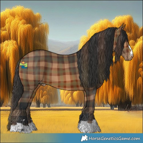 Horse Color:Plaid  Brown Appaloosa 