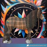 Horse Color:Plaid Brown Appaloosa