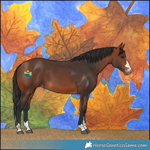 Horse Color:Bay Varnish 
