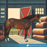 Horse Color:Bay Varnish