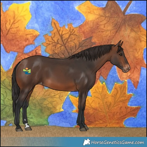 Horse Color:Brown Varnish 