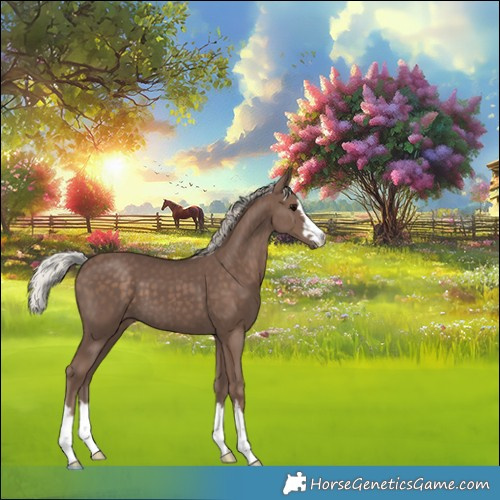 Horse Color:Silver Black 