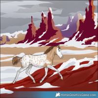 Horse Color:Red Dun Splash Near Leopard