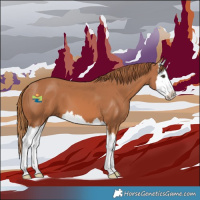 Horse Color:Chestnut Splash 