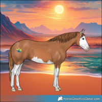 Horse Color:Chestnut Splash