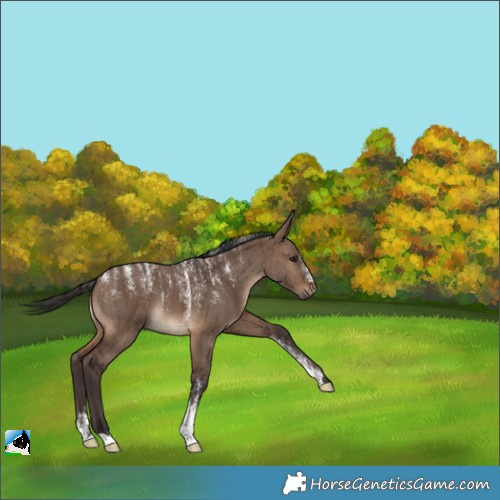 Horse Color:Powder White Brown Dun Brindle