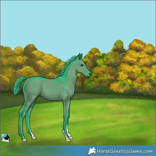 Horse Color:Watercolor Grullo Mushroom