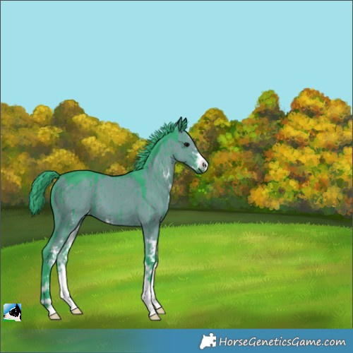 Horse Color:Watercolor Grullo Sabino Brindle 