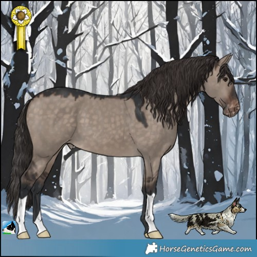 Horse Color:Brown Dun Mushroom Appaloosa 