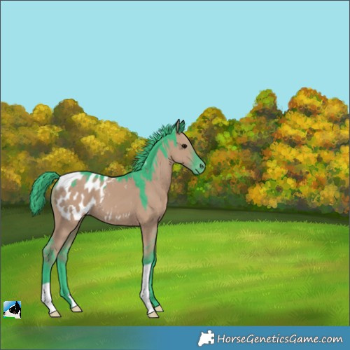 Horse Color:Watercolor Grullo Appaloosa 