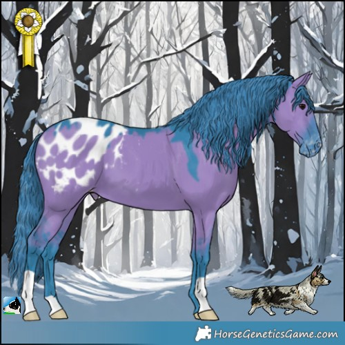 Horse Color:Watercolor Grullo Appaloosa 