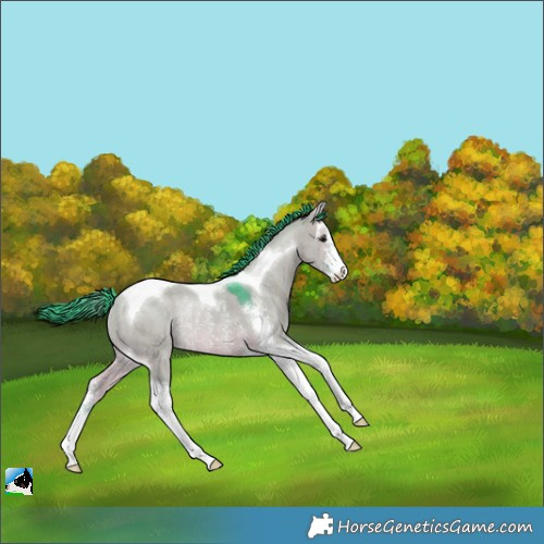 Horse Color:Watercolor Brown Dun Sabino Tobiano Rabicano