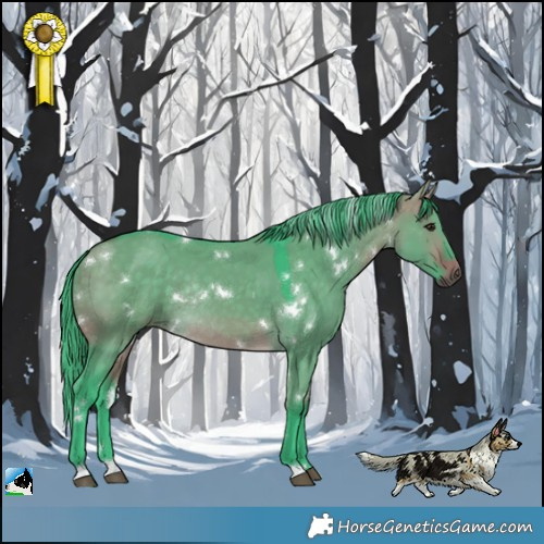 Horse Color:Watercolor White Spotted Buckskin Dun Rabicano 