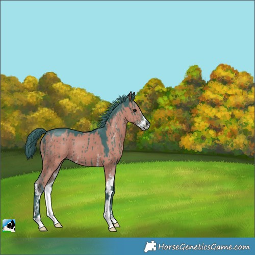 Horse Color:Watercolor Grullo Sabino Brindle 