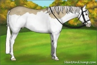Horse Color:Silver Smoky Grullo Splash