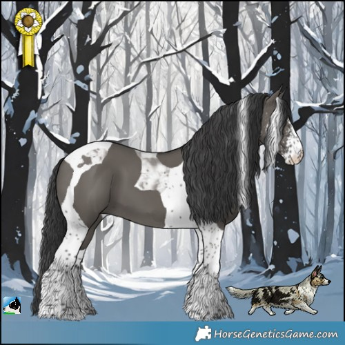 Horse Color:Grullo Sabino Tobiano 