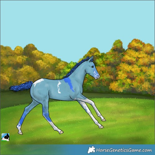 Horse Color:Watercolor Grullo Sabino Tobiano 
