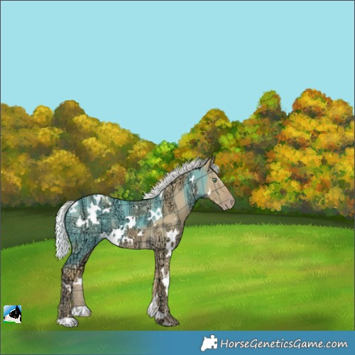 Horse Color:Plaid White Spotted Silver Amber Cream Champagne Ice Dun