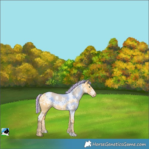 Horse Color:Painted Silver Amber Cream Champagne Ice Dun 