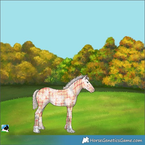 Horse Color:Plaid Silver Sable Cream Champagne Ice Dun