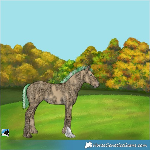 Horse Color:Painted Silver Amber Cream Champagne Ice Dun 
