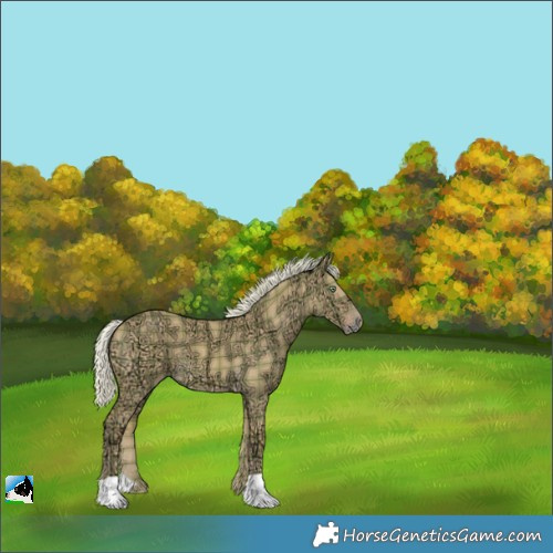 Horse Color:Plaid  Silver Amber Cream Champagne Ice Dun 