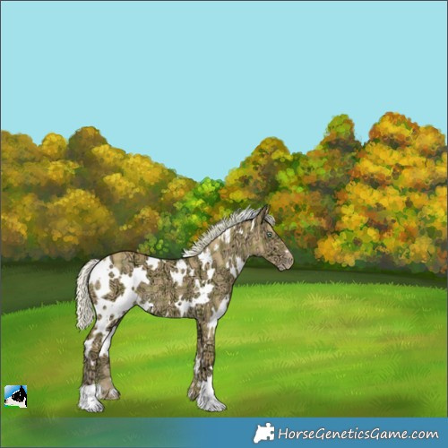 Horse Color:Plaid White Spotted Silver Amber Cream Champagne Ice Dun