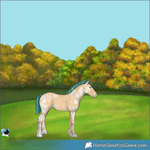 Horse Color:Painted Silver Classic Cream Champagne Ice Dun 
