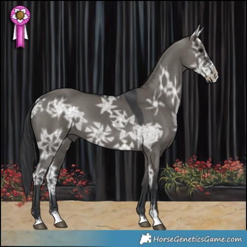 Horse Color:Grullo Ice 