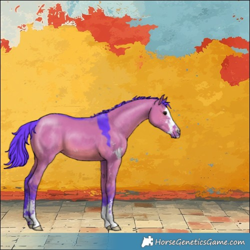 Horse Color:Watercolor Grullo Sabino 
