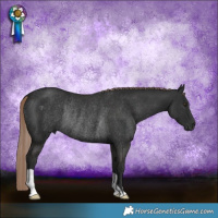 Horse Color:Liver Chestnut Rabicano 