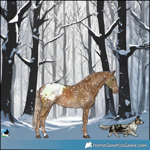 Horse Color:Chocolate Palomino Snowcap 