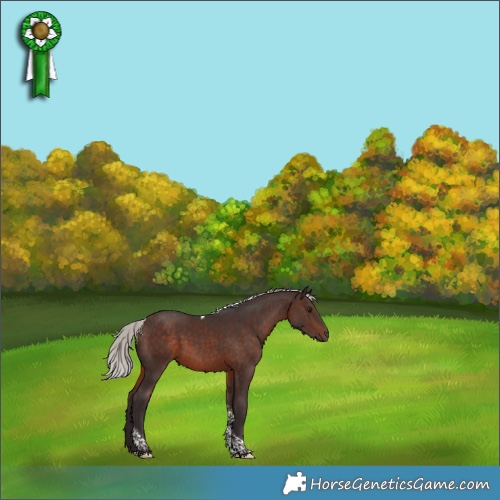 Horse Color:Silver Bay Tobiano