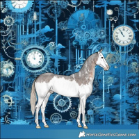 Horse Color:Liver Red Roan Sabino Splash