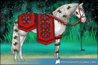 Horse Color:Cremello Splash and Cremello Splash
