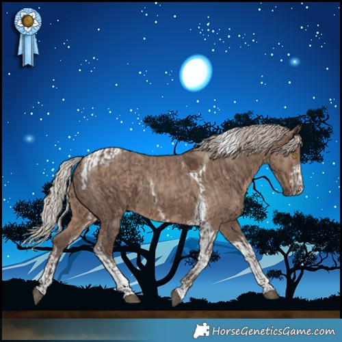 Horse Color:Silver Black Tobiano Rabicano  and White Spotted Silver Grullo Tobiano 