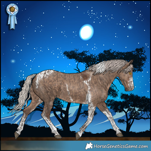 Horse Color:Silver Black Tobiano Rabicano and White Spotted Silver Grullo Tobiano