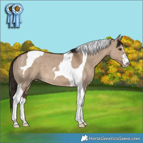 Horse Color:Liver Red Dun Tobiano