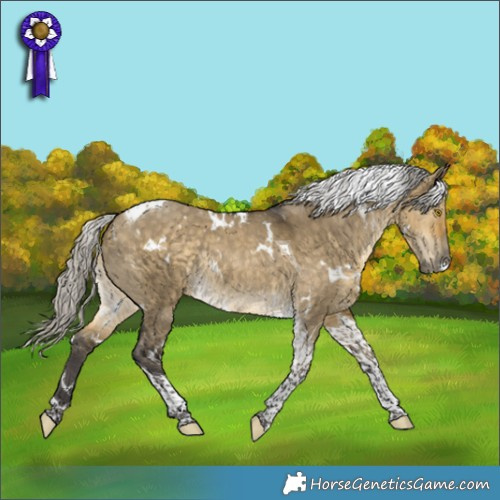 Horse Color:White Spotted Silver Buckskin Dun Tobiano Rabicano 