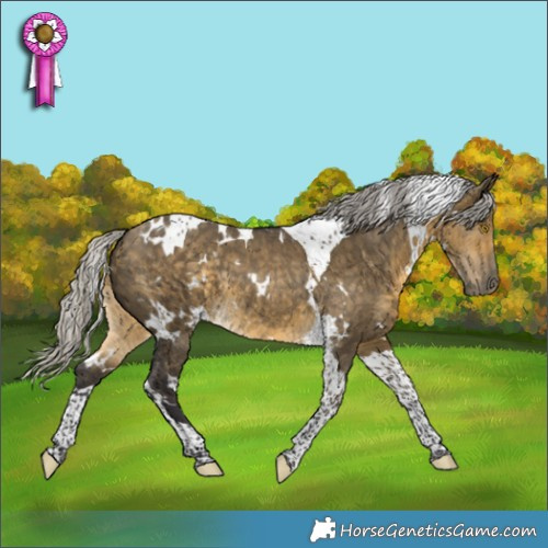 Horse Color:White Spotted Silver Buckskin Dun Tobiano Rabicano
