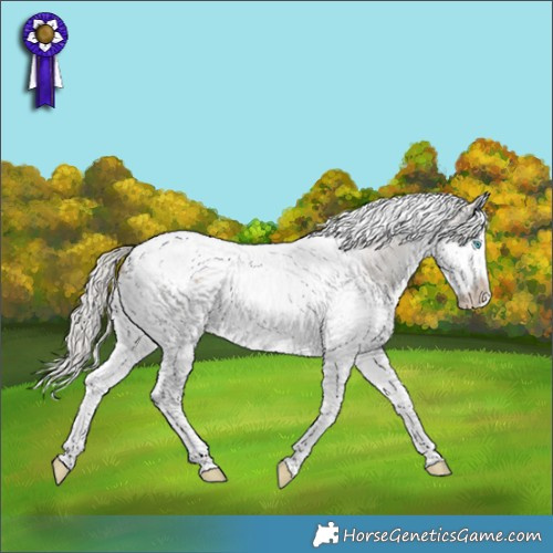 Horse Color:White Spotted Silver Bay Dun Splash Tobiano 
