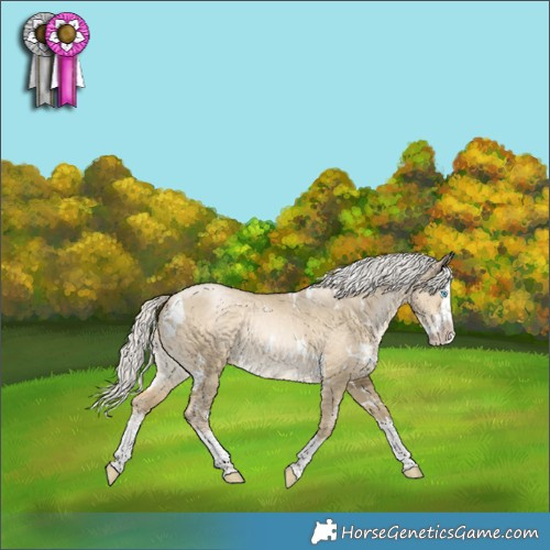 Horse Color:White Spotted Silver Smoky Grullo Pearl Splash 